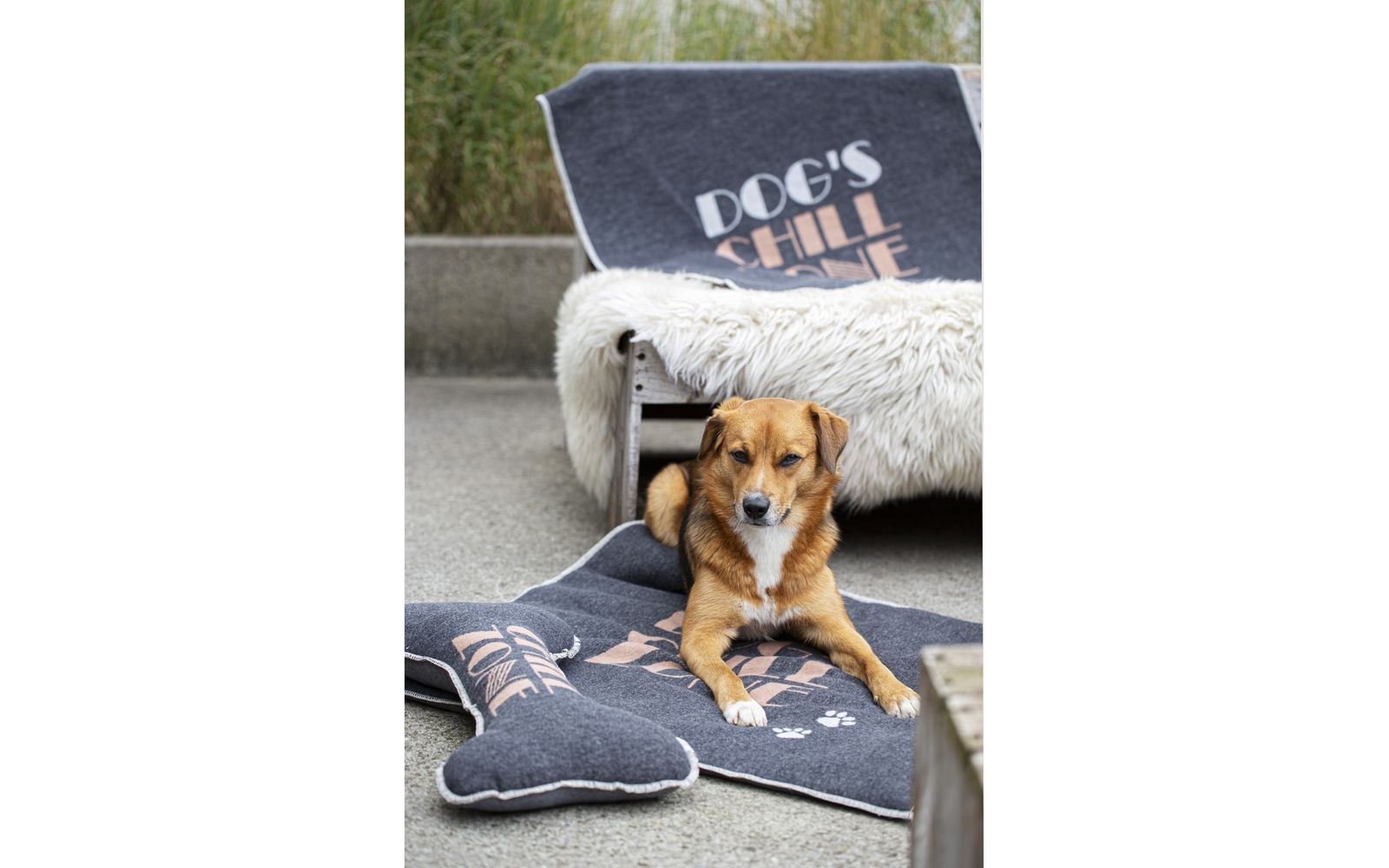 Fussenegger Chillzone Dog