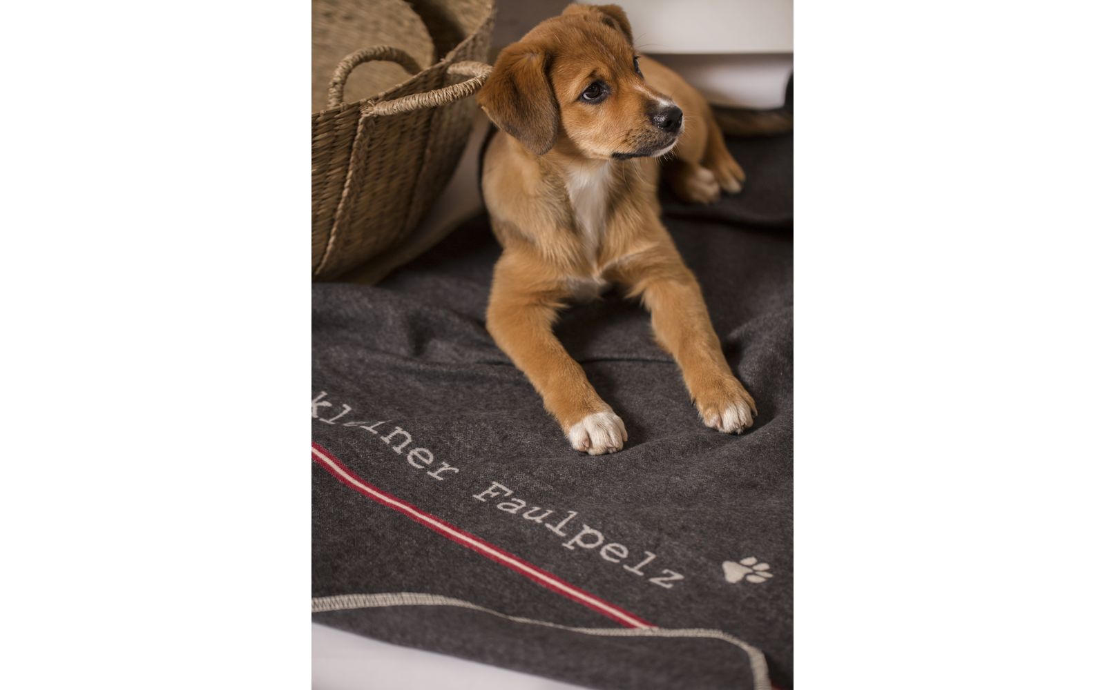 Fussenegger Faulpelz