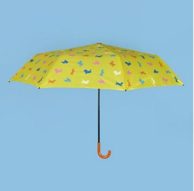 Regenschirme