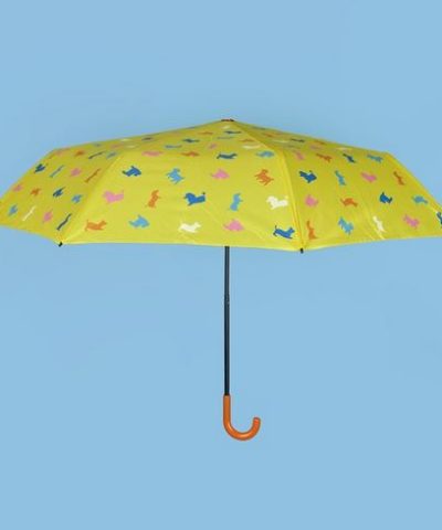 Regenschirme