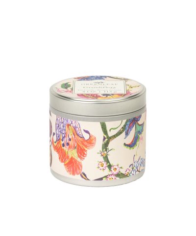 Dosenkerze / Grandiflora